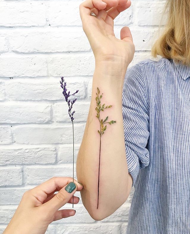 一组非常精美的植物纹身图案