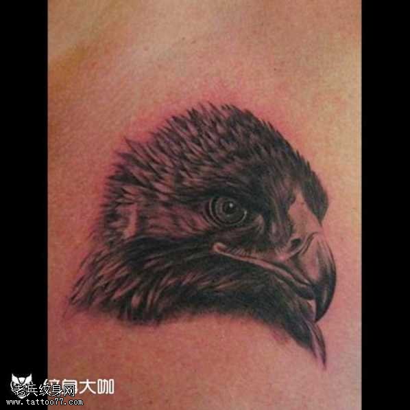 鹰头纹身图案