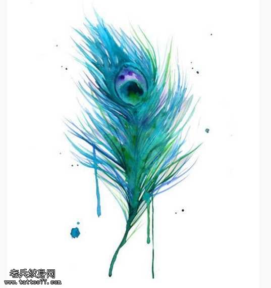 孔雀羽毛纹身图案