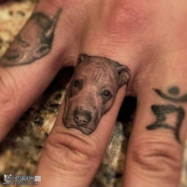 手指斗牛狗纹身图案缩略频道推荐图