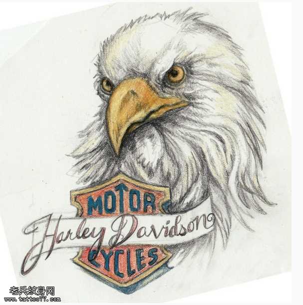 鹰英文纹身图案