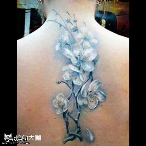 背部白梅花纹身图案