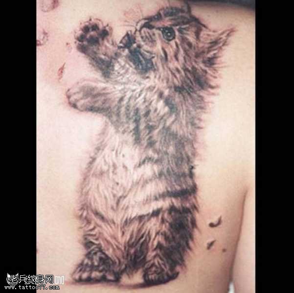 胸部猫咪纹身图案