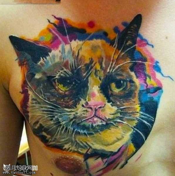 胸部彩猫纹身图案