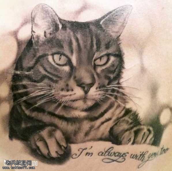 猫咪纹身图案