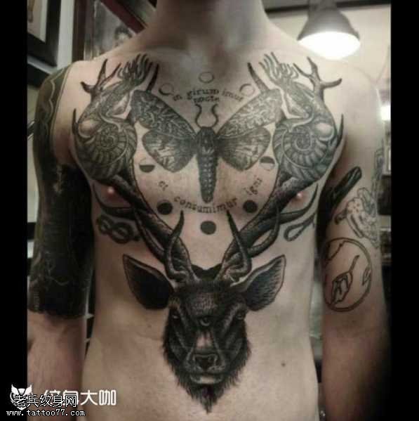 胸部鹿蛾纹身图案