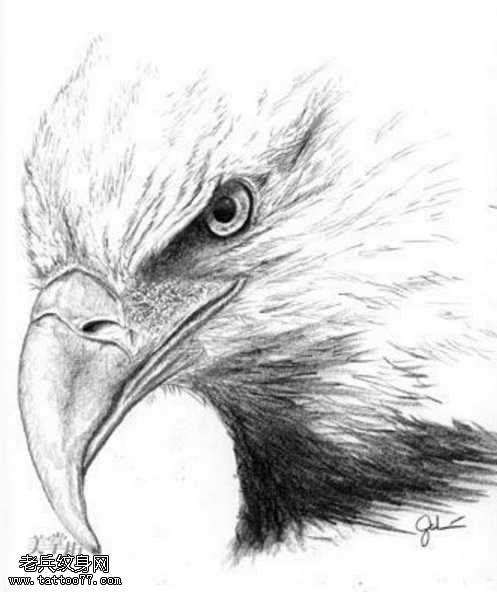 老鹰纹身图案