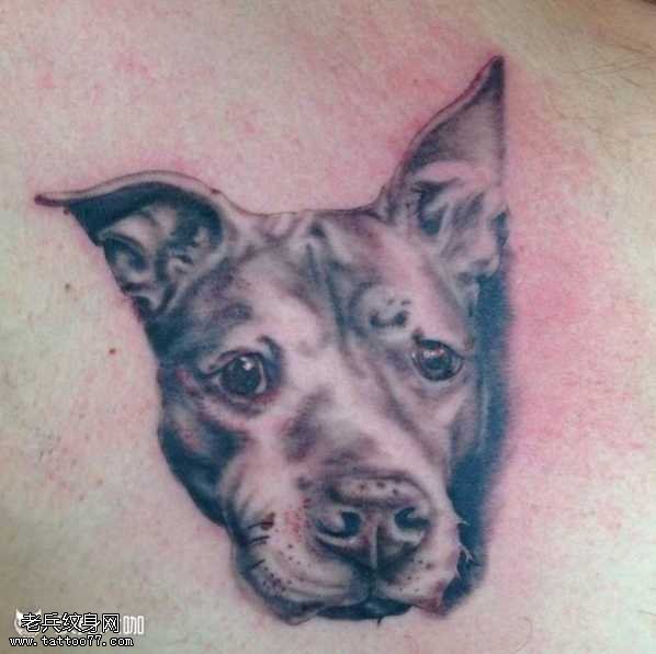 胸部狗纹身图案
