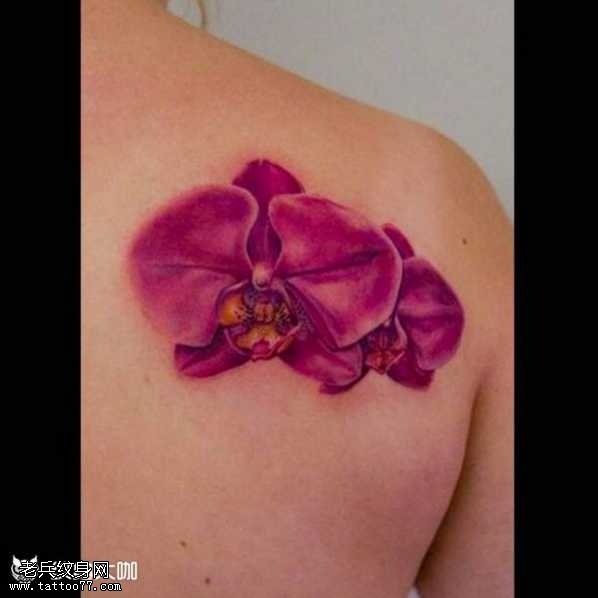 背部粉花朵纹身图案