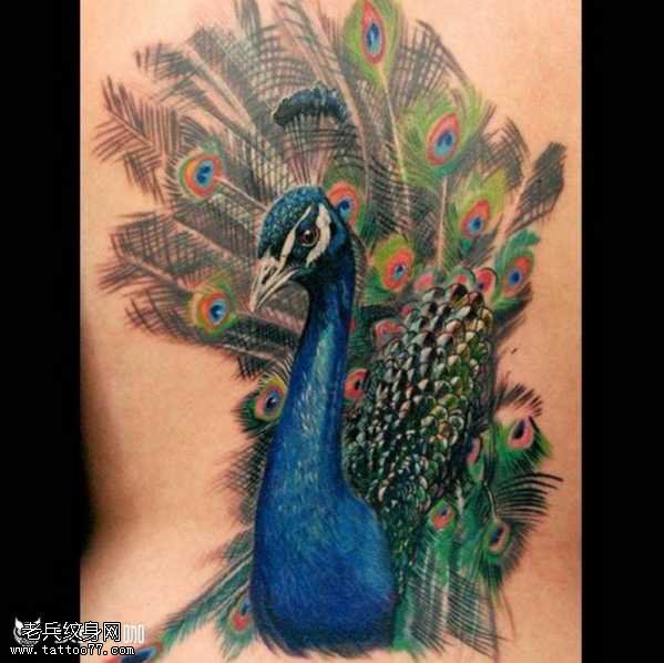 腰部孔雀纹身图案
