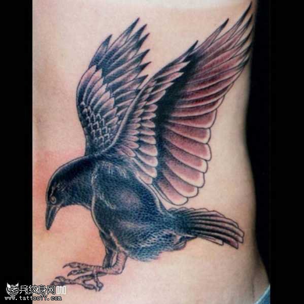 腰部鸽子纹身图案