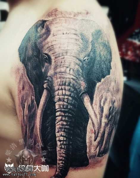 胳膊大象纹身图案