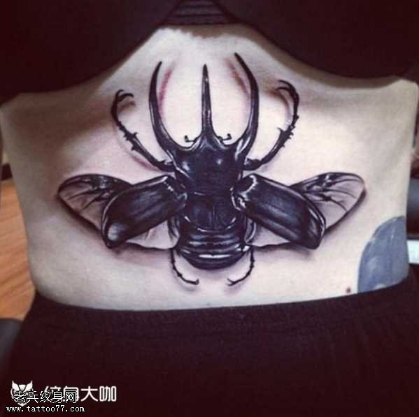 腰部昆虫纹身图案