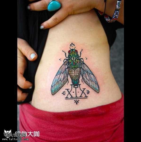 腰部昆虫纹身图案
