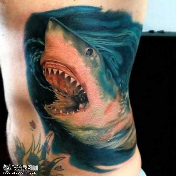 腰部鲨鱼纹身图案