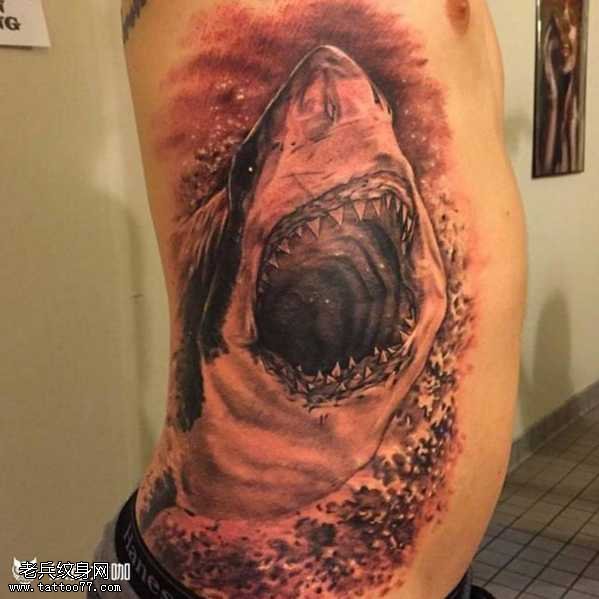 腰部鲨鱼纹身图案