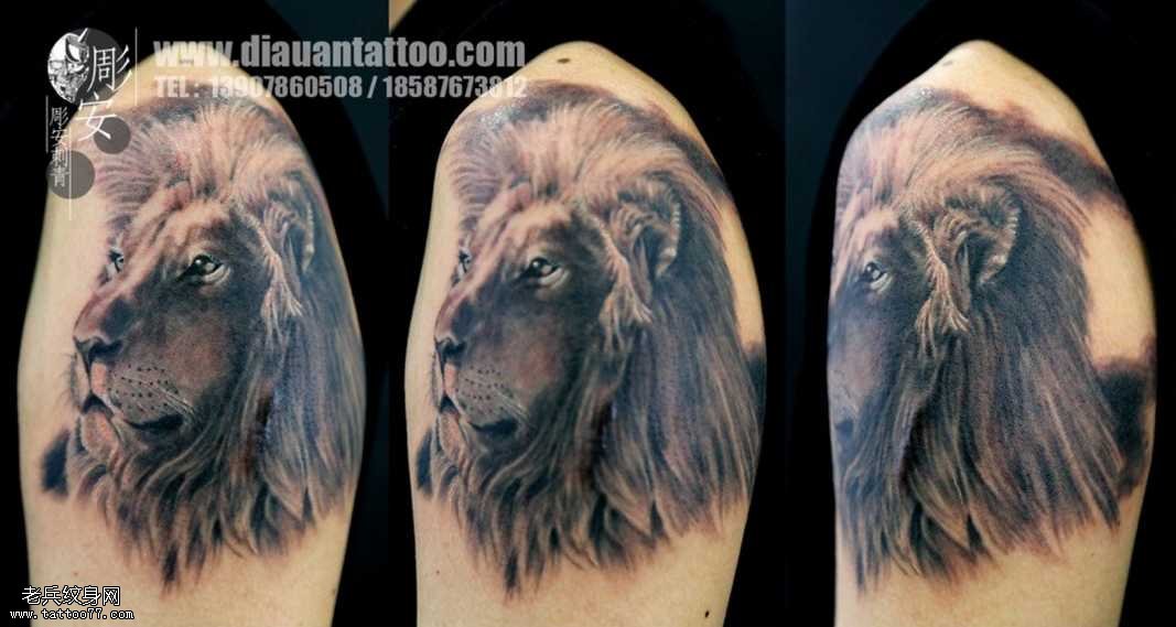 胳膊狮子纹身图案