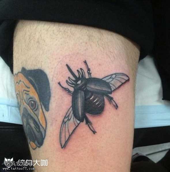 昆虫纹身图案