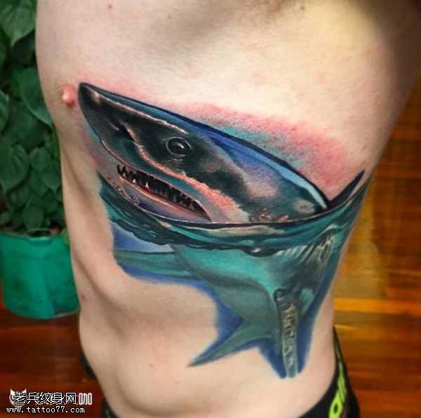 腰部鲨鱼纹身图案
