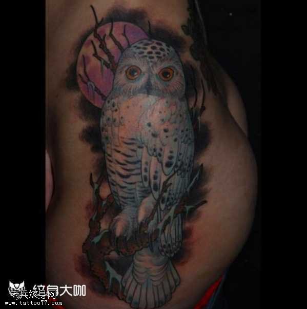 腰部猫头鹰纹身图案