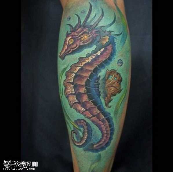 物种海马纹身图案