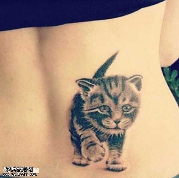 腰部猫咪纹身图案