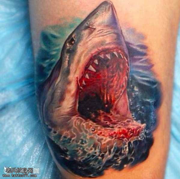 腿部鲨鱼纹身图案