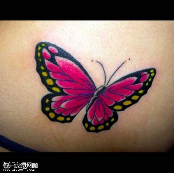 腰部粉蝴蝶纹身图案