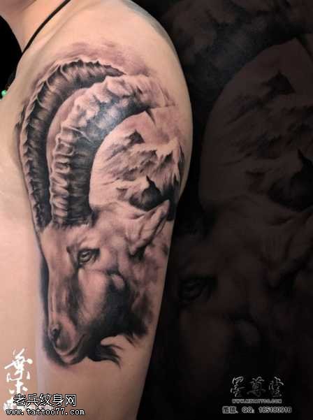胳膊羚羊纹身图案