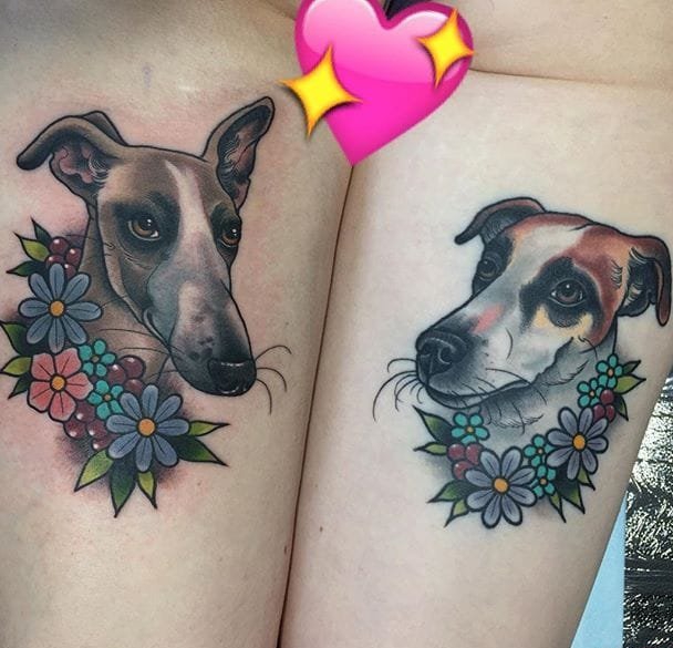 可爱的宠物肖像纹身图案来自克莱尔
