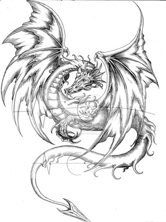 帅气的飞龙纹身图案手稿素材