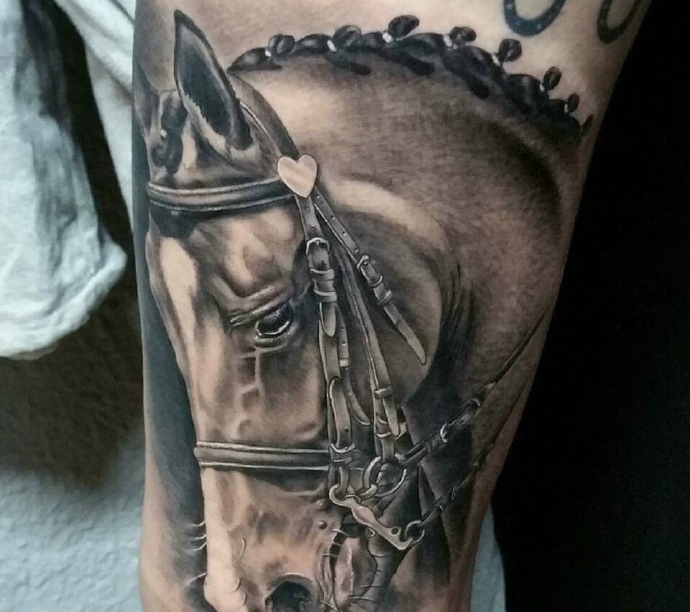 一匹3d骏马纹身图案帅气十足