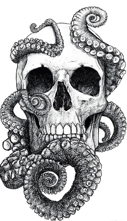 大章鱼骷髅头纹身图案手稿素材