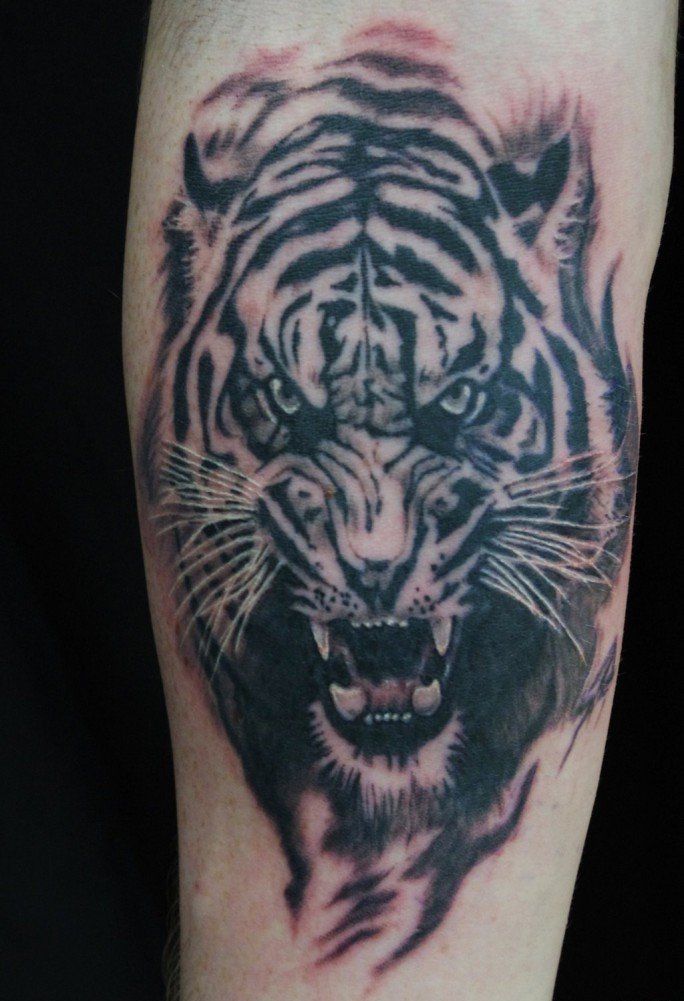很帅气很凶猛的老虎纹身图案