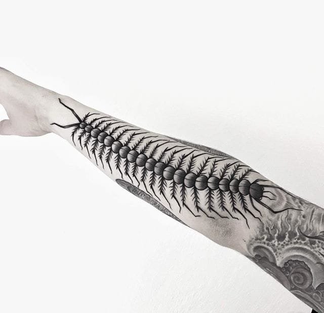 10款漂亮黑色蜈蚣纹身图案