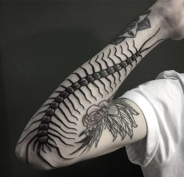 10款漂亮黑色蜈蚣纹身图案