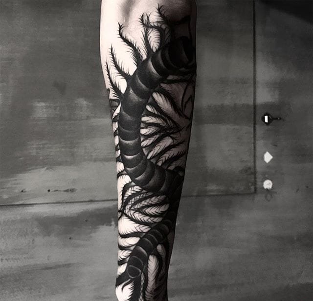 10款漂亮黑色蜈蚣纹身图案