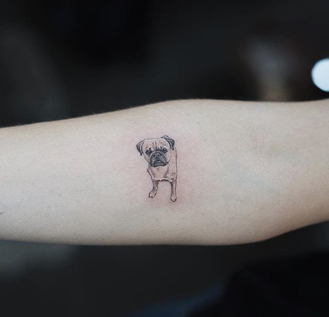 多款微型小清新宠物狗纹身图案来自索尔