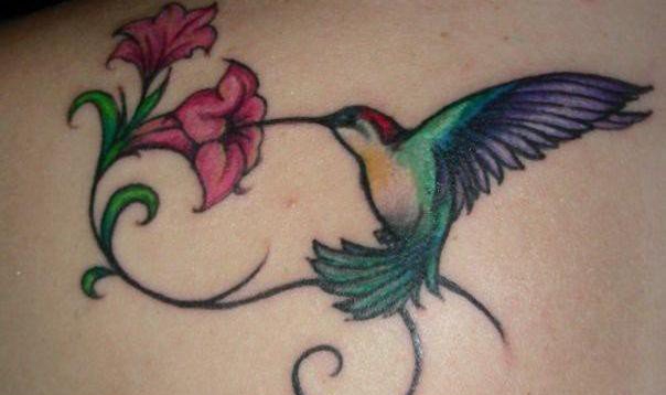 多款女孩喜爱的蜂鸟纹身图案