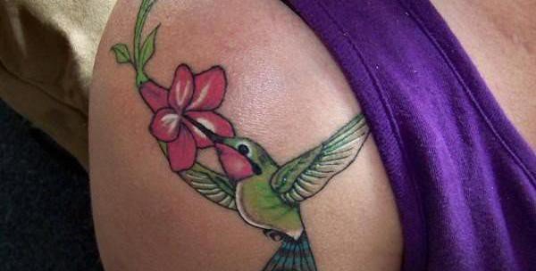 多款女孩喜爱的蜂鸟纹身图案
