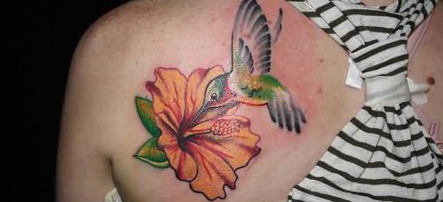 多款女孩喜爱的蜂鸟纹身图案