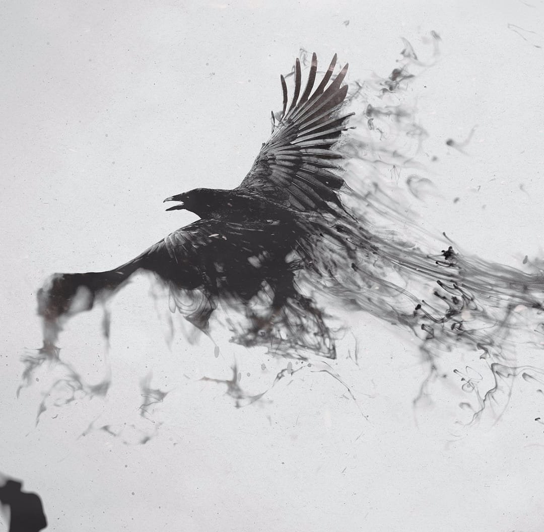 多款纯黑色风格点刺乌鸦纹身图案