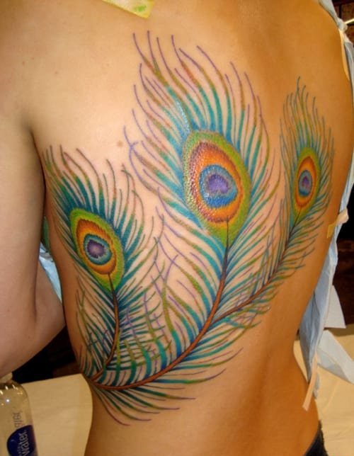 漂亮的大孔雀羽毛纹身图案