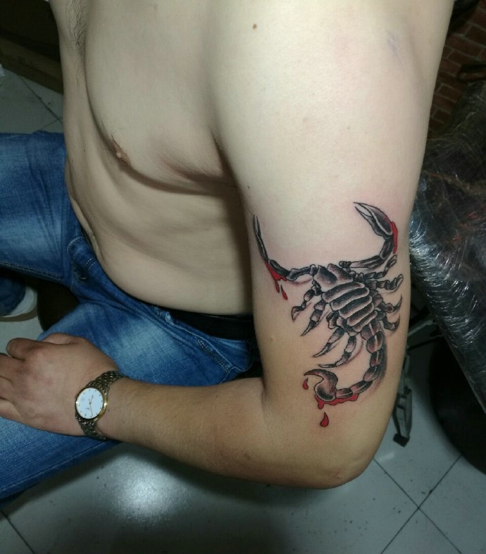 80后男士手臂一只蝎子纹身图案