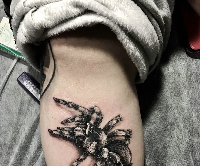 男士腿部一款3d狼蛛纹身图案