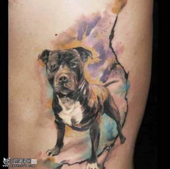 腰部斗牛犬纹身图案