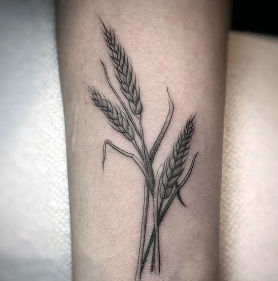 多款精致的小麦穗纹身图案