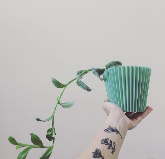 女生喜爱的13款彩色的甜美的多肉植物纹身图案