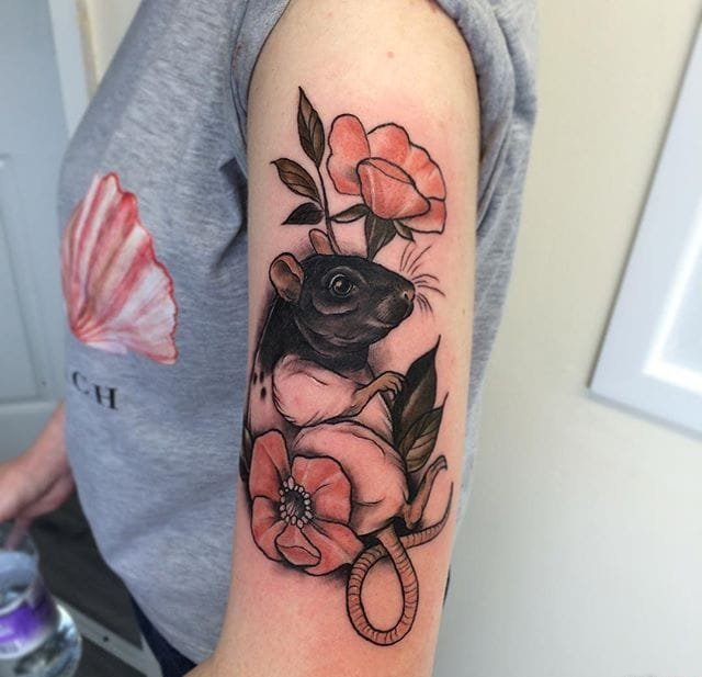 超精美的现实风格各种动物纹身图案来自艾梅布雷