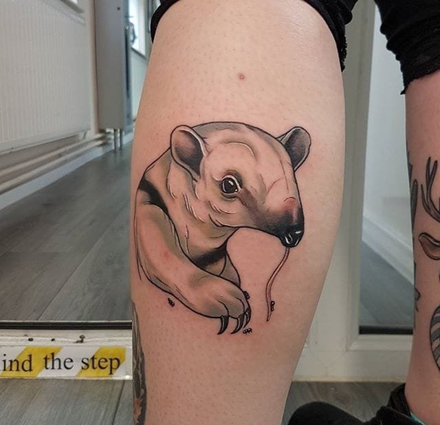 超精美的现实风格各种动物纹身图案来自艾梅布雷